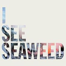 I See Seaweed by The Drones